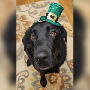 Dailey Dog Mar 7