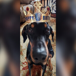Daily Dog March 12