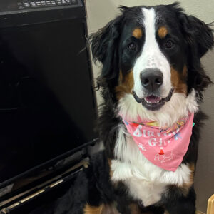 Daily Dog May 3rd