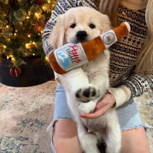 Daily Dog