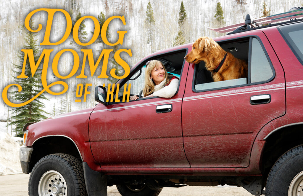 Dog Mom's of 'KLH