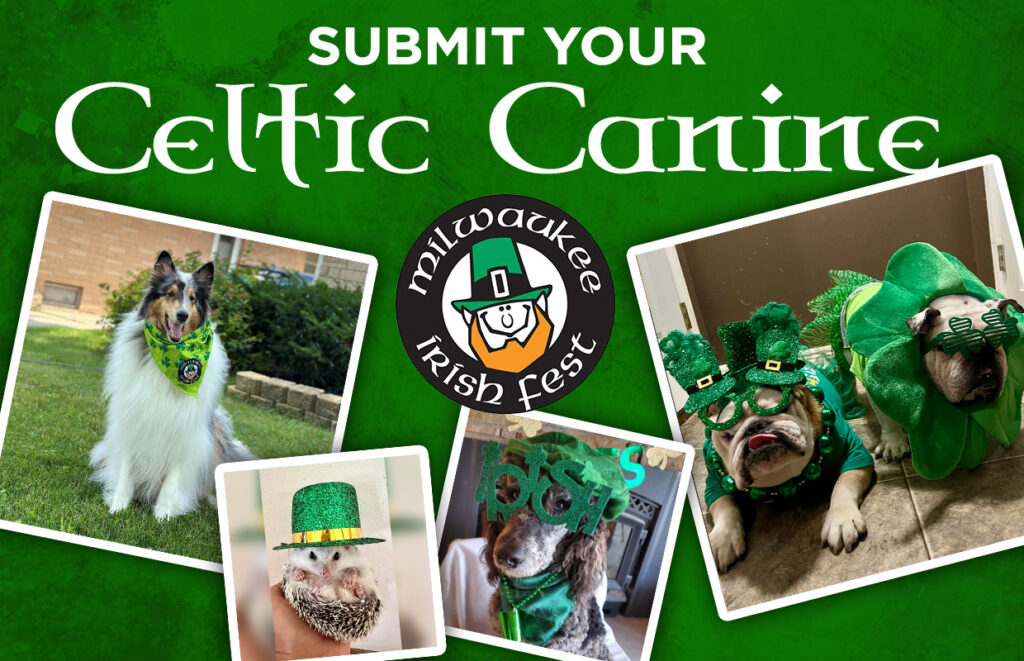 Celtic Canine