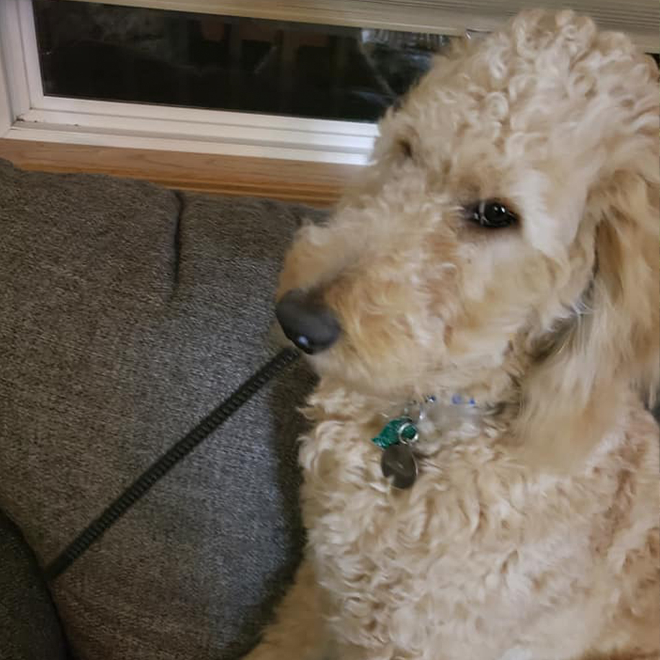 December 12, 2026 December 12, 2026