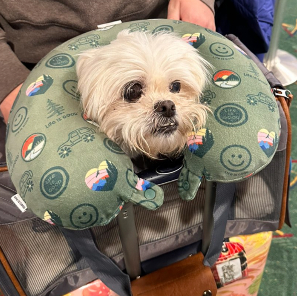 December 19, 2025 December 19, 2025