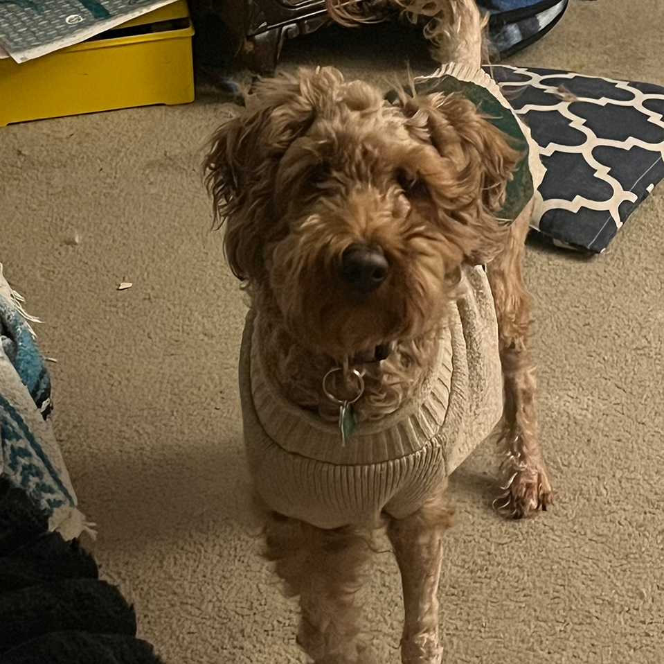 February 23, 2026 February 23, 2026