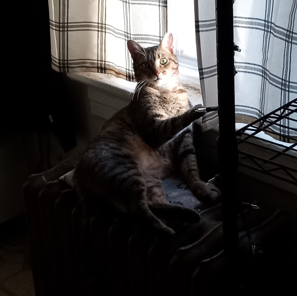 March 31, 2026 March 31, 2026