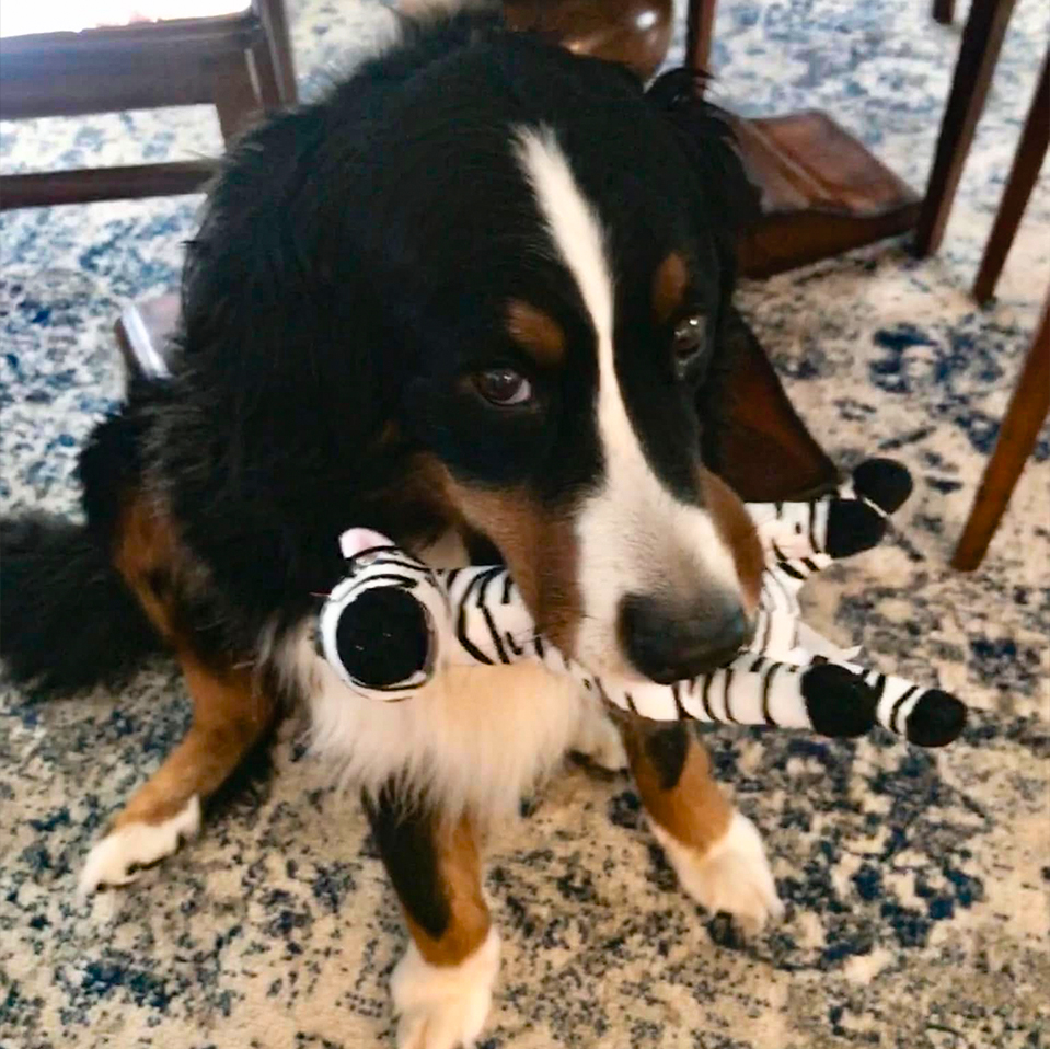 April 14, 2026 April 14, 2026