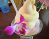 Tropical cocktail with yellow and pink layered soft-serve ice cream in a stemmed glass, garnished with a pink orchid orchid and a small umbrella.