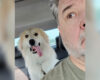 Smiling man with gray beard in a car taking a selfie next to a happy golden retriever with its tongue out in the back seat.