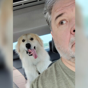 Smiling man with gray beard in a car taking a selfie next to a happy golden retriever with its tongue out in the back seat.