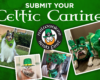 Green Celtic Canine poster inviting submissions, with dogs in green outfits around the Milwaukee Irish Fest logo on a textured green background.