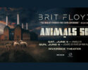 Brit Floyd - Animals 50